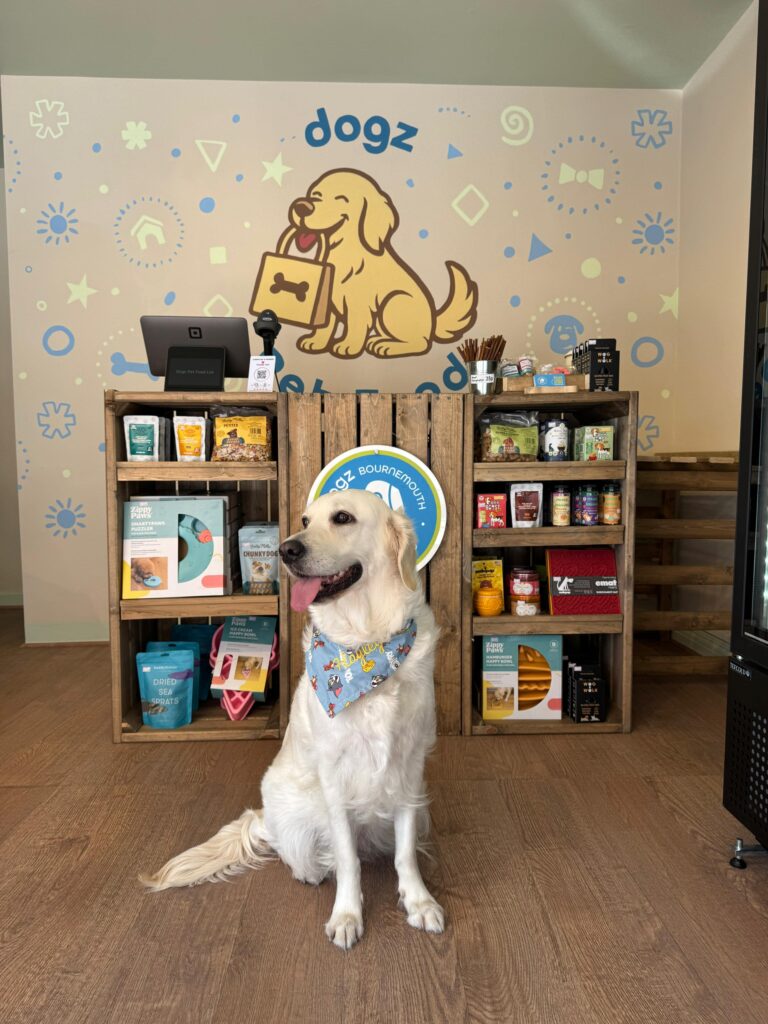 947a902d-c497-4140-9b77-2d365cdaf32e-min