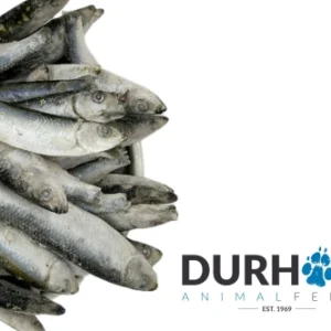 Durham Sprats - 1kg
