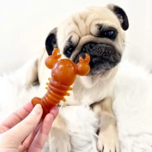 Carrot & Pumpkin Lobster Chew For Dogs