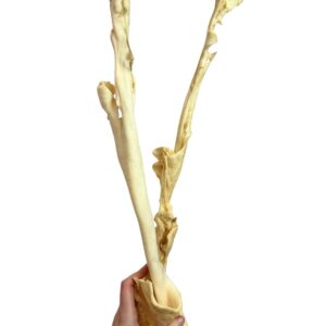 40-50cm Lamb Skin Stick