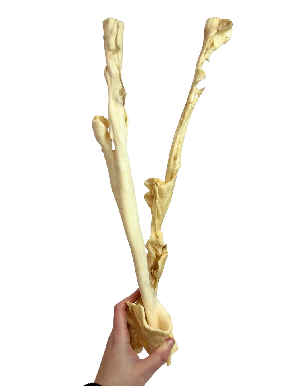 40-50cm Lamb Skin Stick