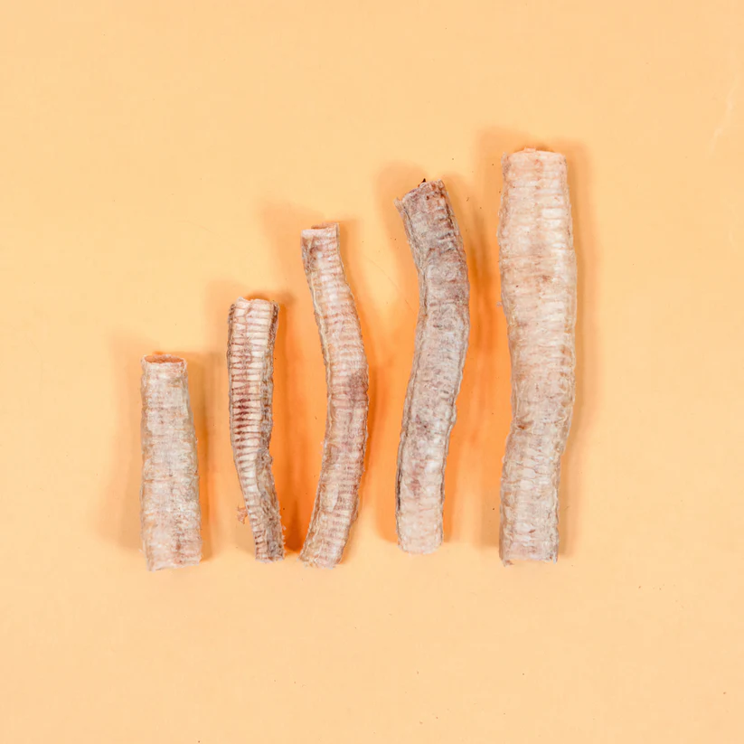 Waita Freeze Dried Goose Trachea - 25g - Image 3